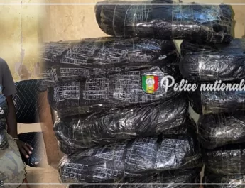 Kaolack : arrestation d’un individu en possession de onze kilogrammes de chanvre indien