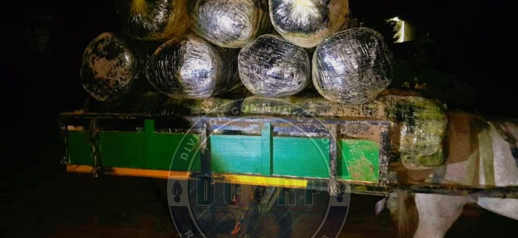 Lutte contre le trafic de drogue : 600 kg de chanvre indien saisis à Warang, un suspect arrêté
