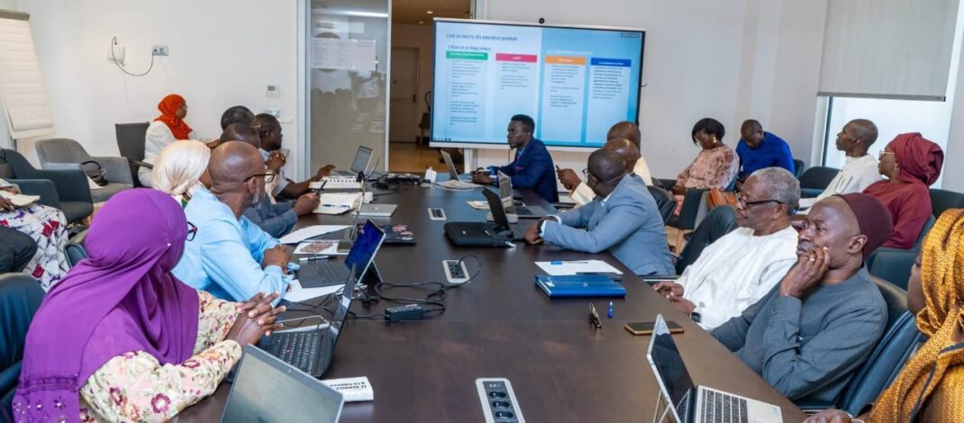 Organisation du secteur de la livraison : l’État accélère la structuration et la modernisation du postal