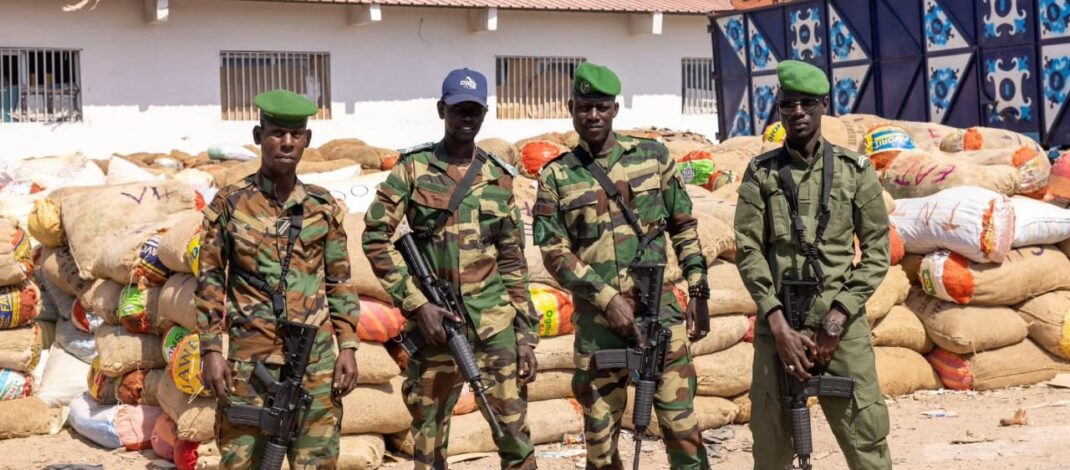 Importante saisie de juvéniles de poissons à Mbao : les autorités renforcent la lutte contre la pêche illicite