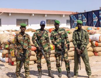 Importante saisie de juvéniles de poissons à Mbao : les autorités renforcent la lutte contre la pêche illicite