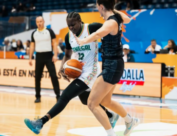 TQCF 2026 – Les Lionnes dominent la Nouvelle-Zélande et se relancent dans le groupe A !