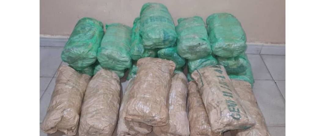 Saisie de 23 kg de chanvre indien : la BRS de Kaolack frappe un nouveau coup contre le trafic