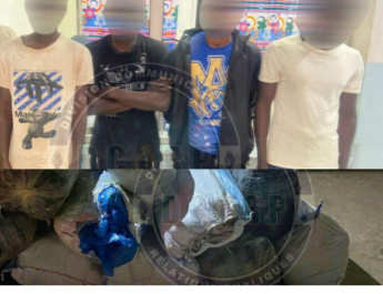 Lutte contre le trafic de drogue : plus de 800 kg de chanvre indien saisis à Mbour