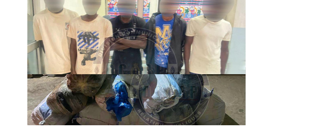 Lutte contre le trafic de drogue : plus de 800 kg de chanvre indien saisis à Mbour