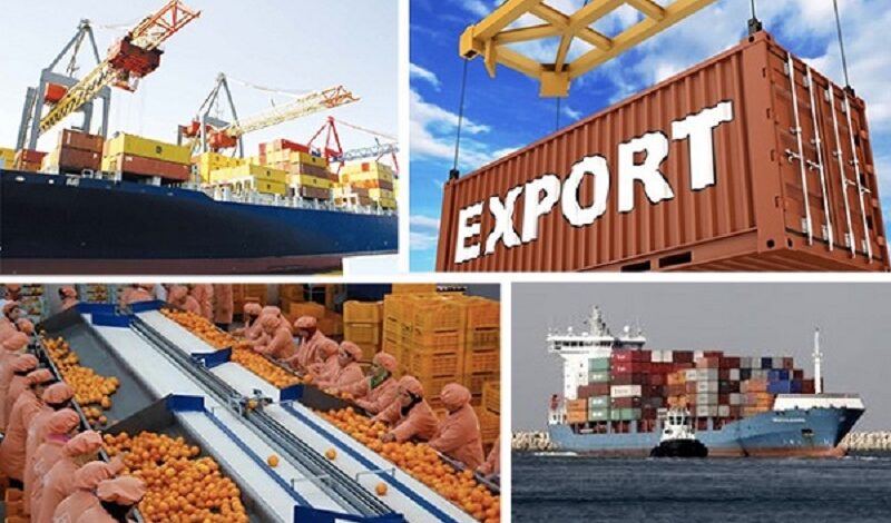 Sénégal : les exportations en hausse en février 2026, mais en repli sur un an