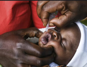 Semaine mondiale de la vaccination : plus de 150 millions vies sauvées au cours des 50 dernières années