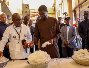En tournée dans le Sud-est : Diomaye s&rsquo;est rendu à l&rsquo;usine SODEFITEX