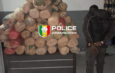 Sédhiou : la police saisit 114 kg de chanvre indien après une course-poursuite nocturne