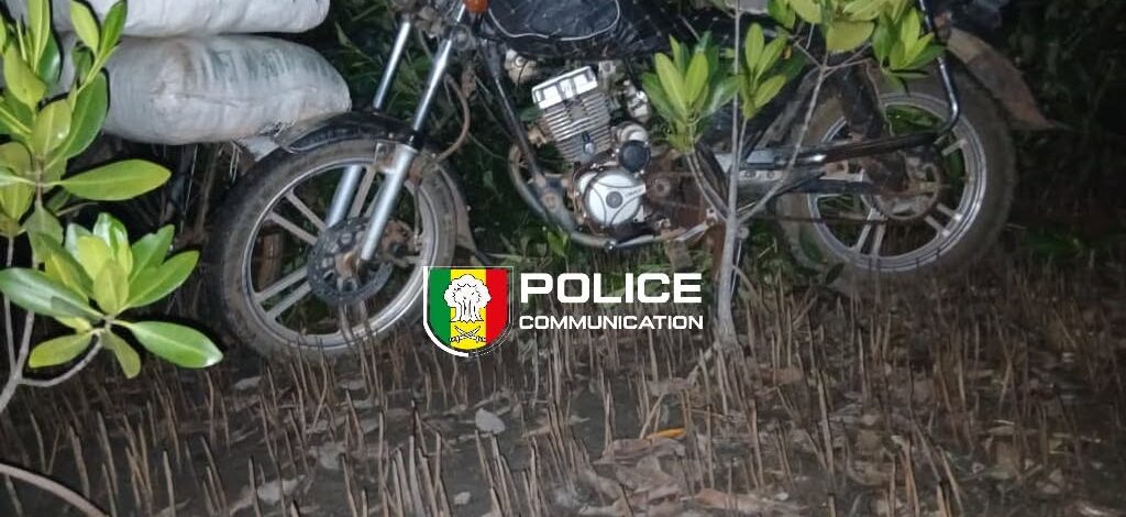 Sédhiou : la police saisit 91 kg de chanvre indien et met en fuite deux trafiquants