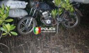 Sédhiou : la police saisit 91 kg de chanvre indien et met en fuite deux trafiquants