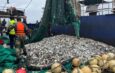 La Marine nationale déploie le PHM CAYOR pour une mission régionale de surveillance des pêches