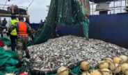 La Marine nationale déploie le PHM CAYOR pour une mission régionale de surveillance des pêches