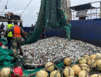 La Marine nationale déploie le PHM CAYOR pour une mission régionale de surveillance des pêches