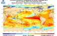 Un épisode El Niño attendu cet été, avec des risques de fortes pluies et de sécheresses