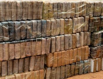 Koumpentoum : les Douanes interceptent près d’une tonne de cocaïne, une saisie record estimée à plus de 58 milliards FCFA