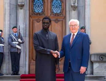Entretien au sommet entre le Président de la République et Frank-Walter Steinmeier
