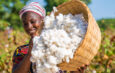 CAMPAGNE COTON 2026 : LA SODEFITEX ATTEINT 100 % DE DISTRIBUTION DES SEMENCES À KÉDOUGOU