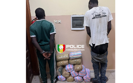 Kaolack : la BRS démantèle un réseau de trafic de drogue et saisit 15 kg de chanvre indien