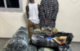 Lutte contre le trafic de drogue : plus de 300 kg de chanvre indien saisis à Thiaroye