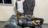 Lutte contre le trafic de drogue : plus de 300 kg de chanvre indien saisis à Thiaroye