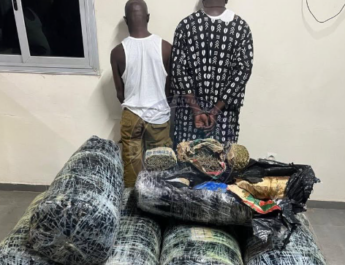 Lutte contre le trafic de drogue : plus de 300 kg de chanvre indien saisis à Thiaroye