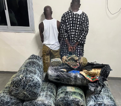 Lutte contre le trafic de drogue : plus de 300 kg de chanvre indien saisis à Thiaroye