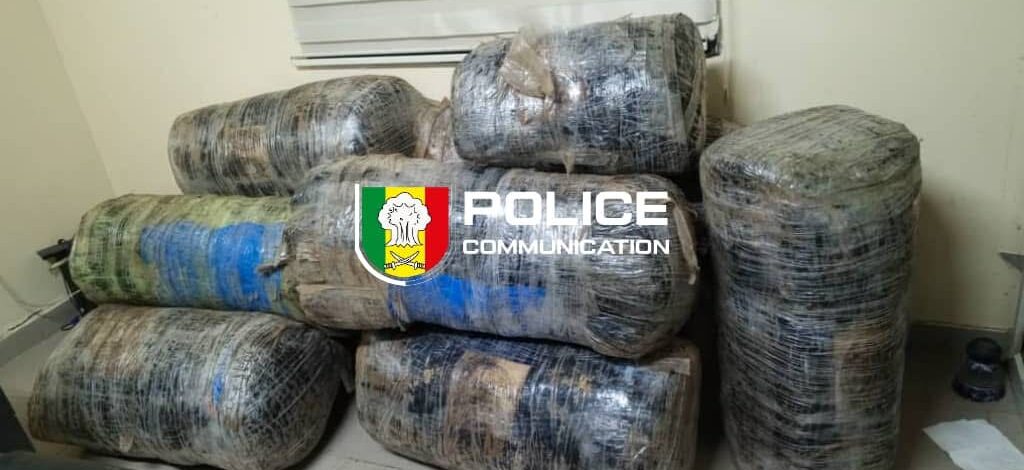 Trafic de drogue : 244,8 kg de chanvre indien saisis sur la plage de Guéréo