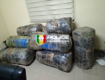 Trafic de drogue : 244,8 kg de chanvre indien saisis sur la plage de Guéréo