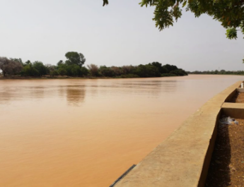 Podor : le fleuve Sénégal continue de monter progressivement