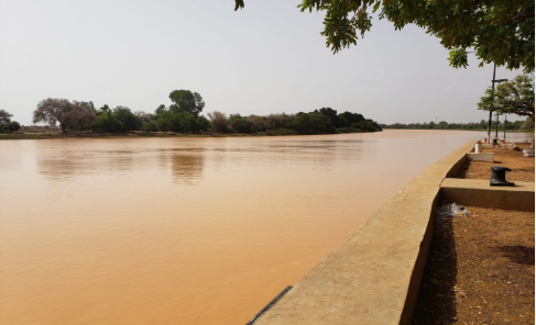 Podor : le fleuve Sénégal continue de monter progressivement