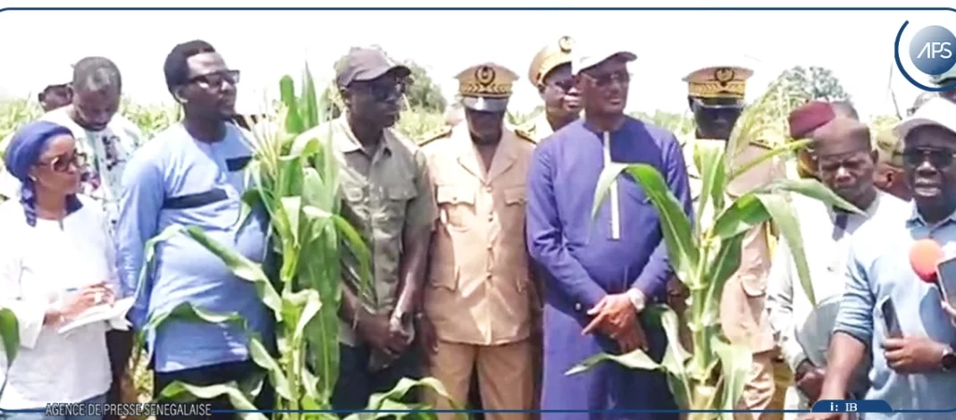 Kolda : Cheikhou Oumar Ba promet des mesures concrètes aux attentes des producteurs