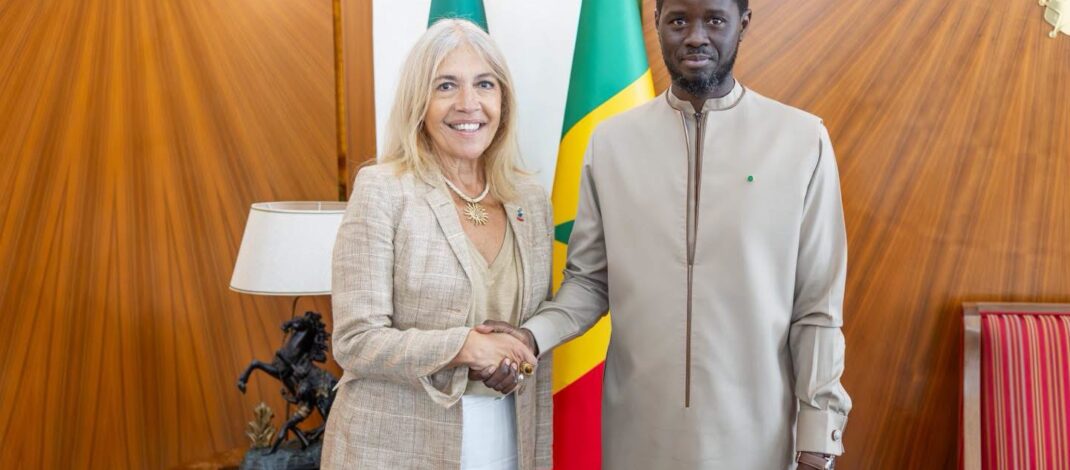 France médias monde : le président Faye réaffirme l’ouverture du Sénégal et son engagement pour la liberté de la presse