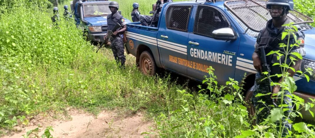 BIGNONA : 103 PERSONNES INTERPELLÉES LORS D’UNE OPÉRATION DE SÉCURISATION À KATABA