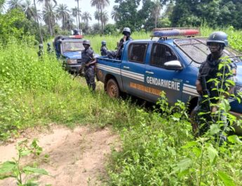 BIGNONA : 103 PERSONNES INTERPELLÉES LORS D’UNE OPÉRATION DE SÉCURISATION À KATABA