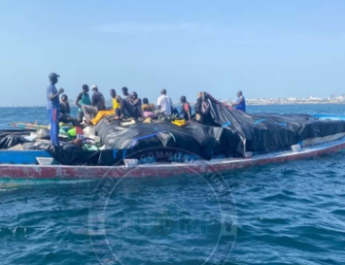 Dakar : six tonnes de cuisses de poulet de contrebande saisies au large de la capitale