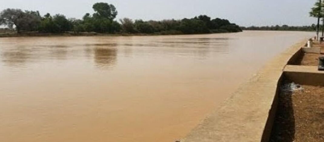 Crue du fleuve : Podor et Richard-Toll sur une pointe sensible
