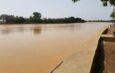 Crue du fleuve : Podor et Richard-Toll sur une pointe sensible